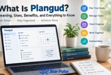Plangud