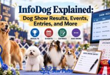 InfoDog